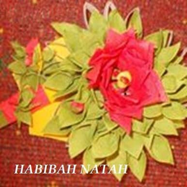 000000000000habibah-8714810