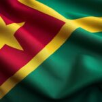 découvrez l'histoire et la symbolique du drapeau du congo kinshasa, un emblème riche en signification qui représente l'identité et la fierté de la nation.