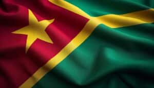 découvrez l'histoire et la symbolique du drapeau du congo kinshasa, un emblème riche en signification qui représente l'identité et la fierté de la nation.