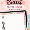 Capture d'écran d'un bullet journal numérique bien organisé sur une tablette.