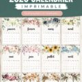 Calendrier floral 2026 à imprimer avec motifs colorés.