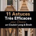 Couloir décoré avec des couleurs claires et des éléments décoratifs modernes