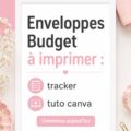 Un ensemble d'enveloppes imprimées pour la gestion de budget sur une table, avec un design coloré et pratique.