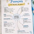 Fiches de révision sur les natures des mots en français pour enfants