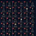 Infographie colorée illustrant diverses statistiques éducatives