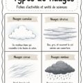 Un ciel rempli de différents types de nuages, illustrant leur diversité.