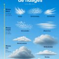 Ciel bleu avec différents types de nuages visibles