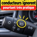Intérieur d'une voiture avec un accessoire de rangement pratique et utile.