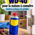 Un spray de WD-40 à côté d'objets du quotidien montrant son utilisation pour le nettoyage et l'entretien.