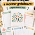 Classeur d'organisation maison à imprimer avec des onglets colorés