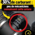 Voiture en mouvement avec une route verdoyante, symbole d'économie de carburant.