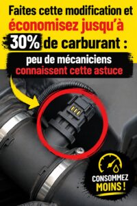 Voiture en mouvement avec une route verdoyante, symbole d'économie de carburant.