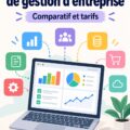Femme utilisant un logiciel de gestion d'entreprise sur son ordinateur