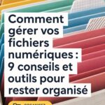 Femme utilisant un ordinateur portable pour organiser ses fichiers numériques.